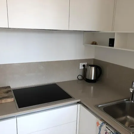 Elegant Aparment In Exclusive Downtown Tower 公寓 *