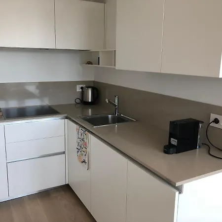Elegant Aparment In Exclusive Downtown Tower 公寓 米兰